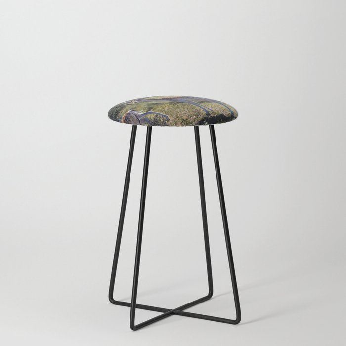 Fallow deer Counter Stool