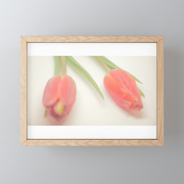 Tulips_02 Framed Mini Art Print