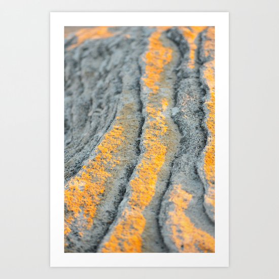 First Light Art Print