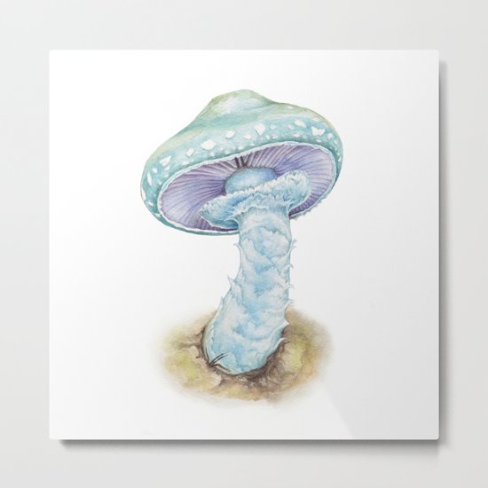 Mushroom - Verdigris Agaric Mushroom - STROPHARIA AERUGINOSA By Magda Opoka Metal Print