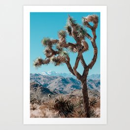 Joshua Tree Art Print