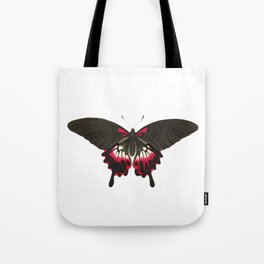 Caudated brown butterfly Tote Bag
