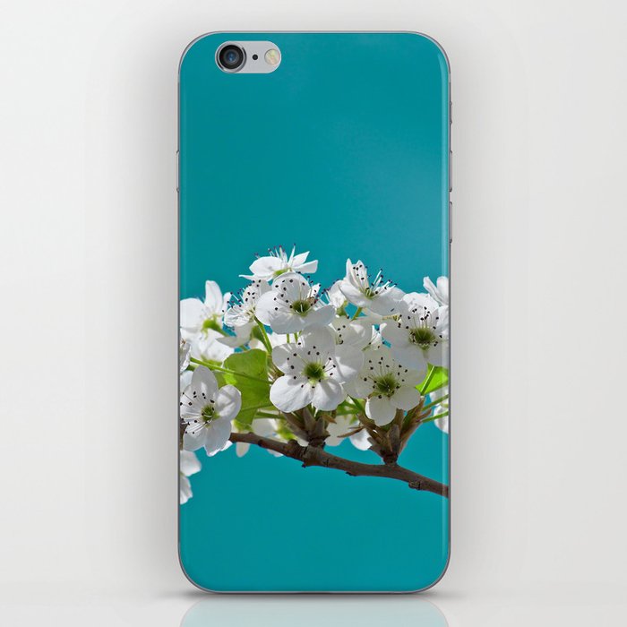 Spring Blossoms - IIIa iPhone Skin