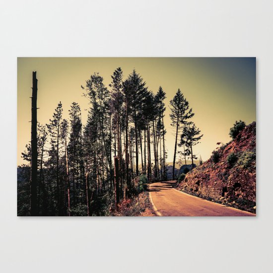 Woodland #2 Canvas Print