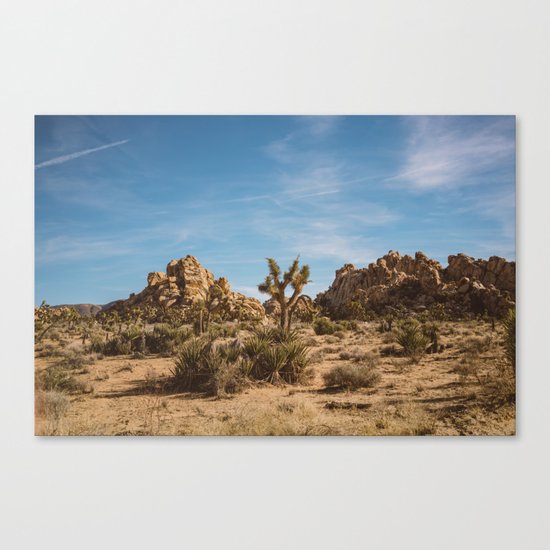 Joshua Tree National Park XXIII Canvas Print