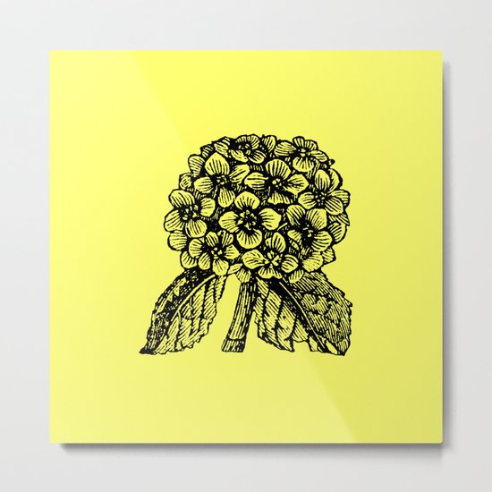 Yellow Hydrangea Metal Print