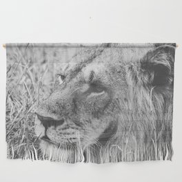 South Africa Photography - Lion In Black And White Wall Hanging