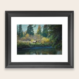 Majestic Stag Framed Art Print