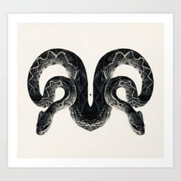Snake 2 symmetry, collection, black and white, bw, set Art Print