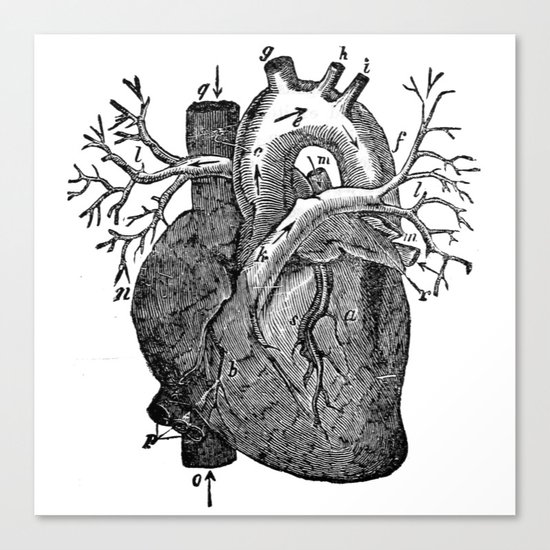 Heart Canvas Print