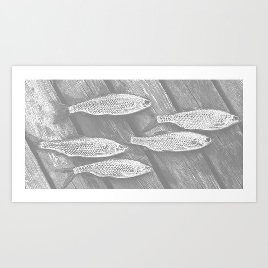 Five Fish Art Print