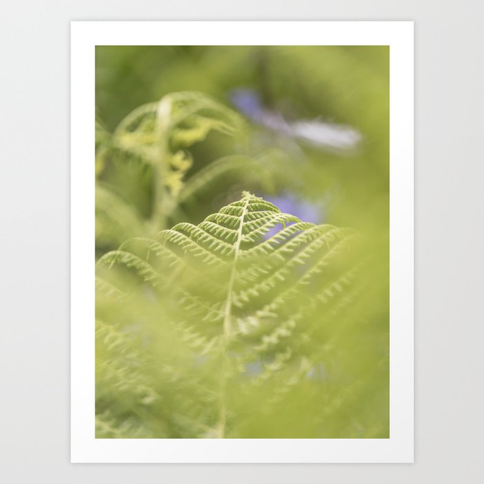Wildflower Garden - Botanical Nature Photography No. 2 Art Print