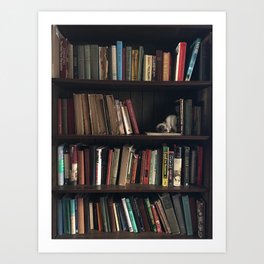 The Bookshelf in the Library, portrait, vibrant Art Print
