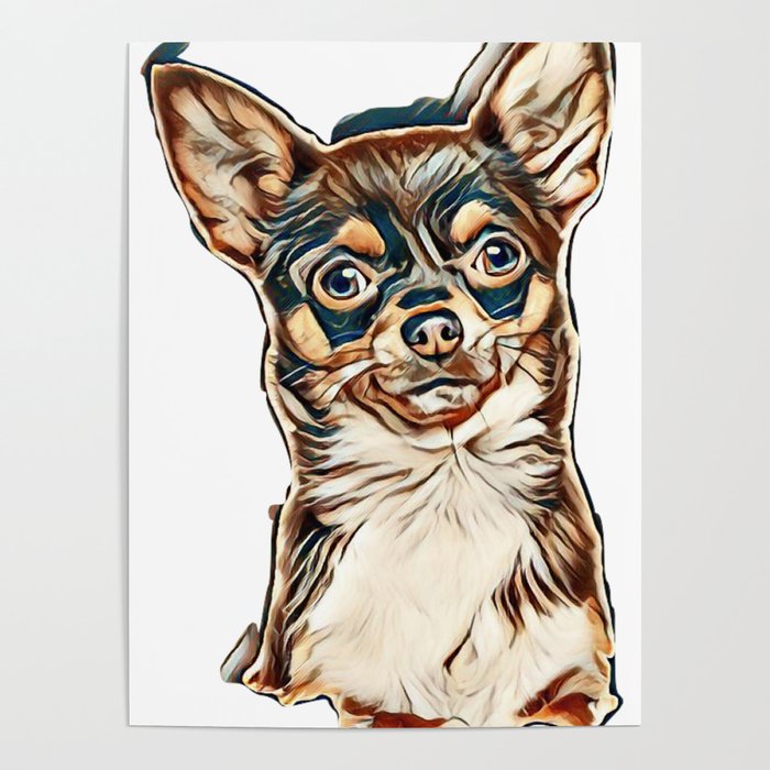 2 year hot sale old chihuahua