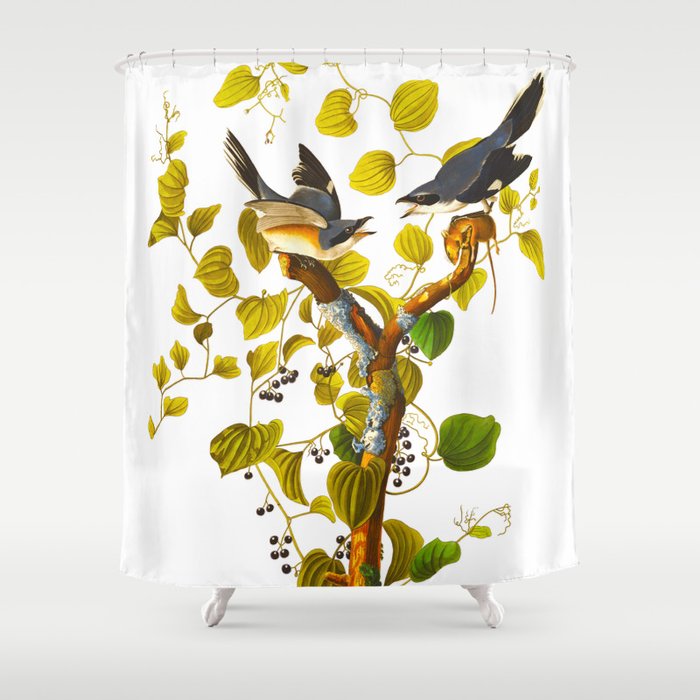 Loggerhead Shrike Bird Shower Curtain