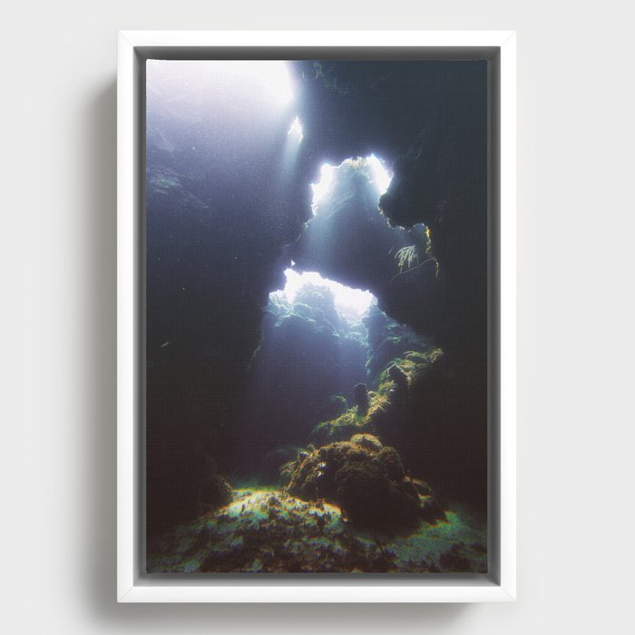 Underwater Caverns Framed Canvas