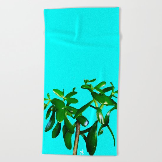 Good Luck Succulent Tree on Sky Blue Beach Towel