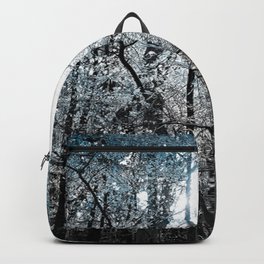 Ice and Light Combined Backpack