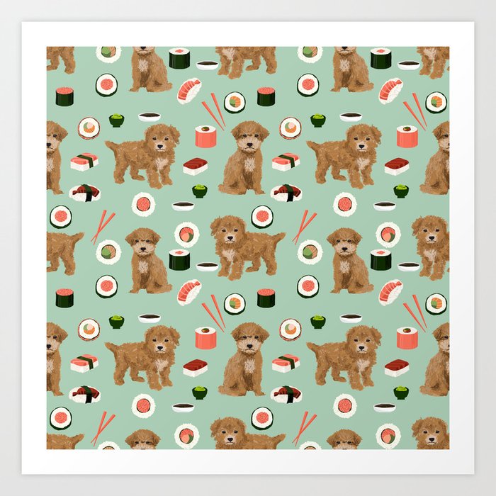 Sushi dog breed on sale