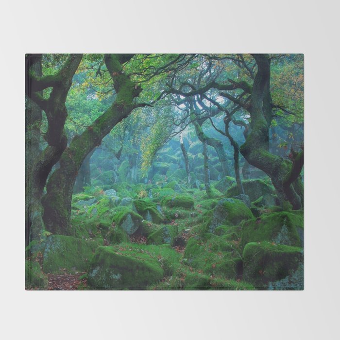 enchanted forest mood throw