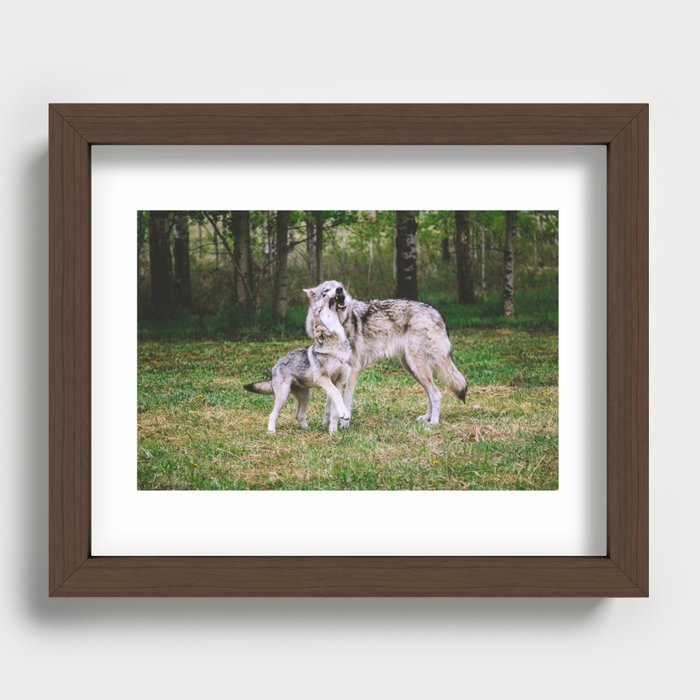 Wolves Play Recessed Framed Print