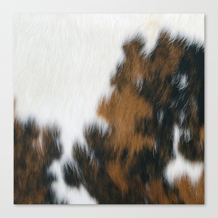 Cowhide Faux Texture  Canvas Print