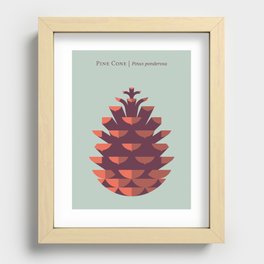 Pine Cone Mint Recessed Framed Print