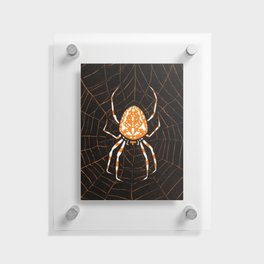 Spider In A Web Floating Acrylic Print