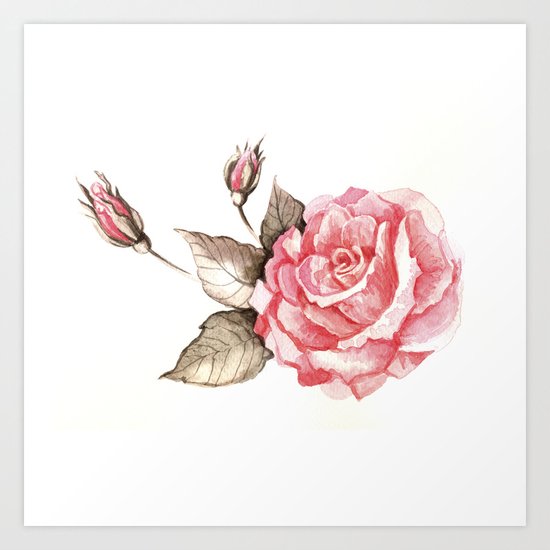 Watercolor rose Art Print