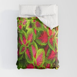 Pink Green Coleus Tropical Comforter