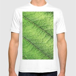 green T Shirt