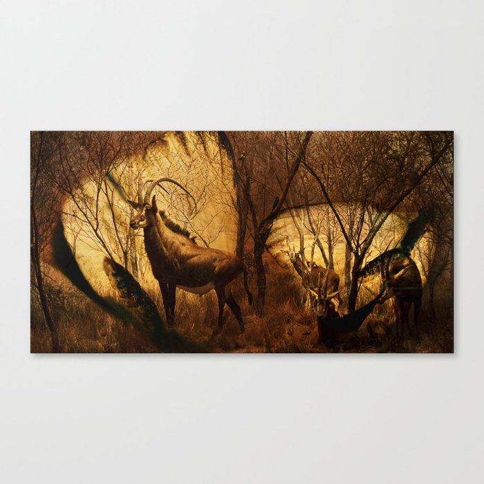 Diorama :: Antelope Canvas Print