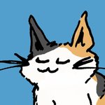 Kitten Rain