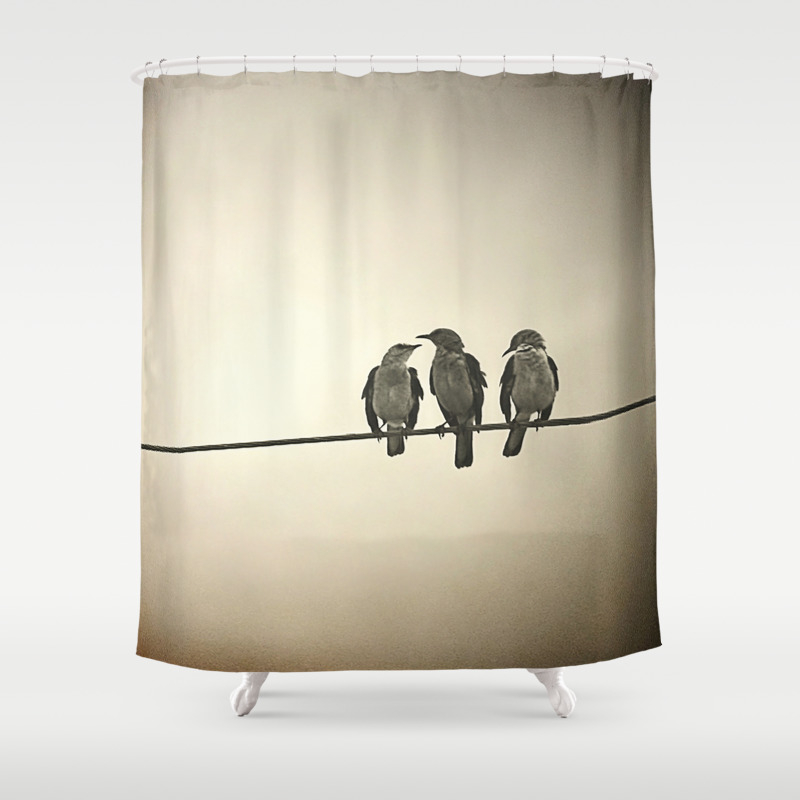 Three Little Birds Shower Curtain By Pmistric Society6