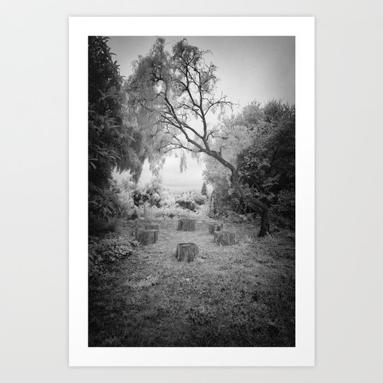 Six Chairs Art Print