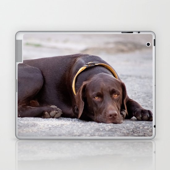the hound dog Laptop & iPad Skin
