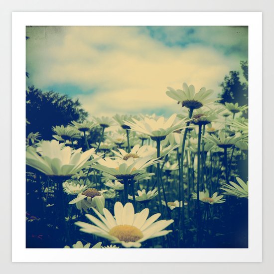Daisy Love Art Print
