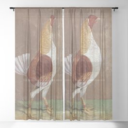 Fighting Cocks, a Pale-Breasted Fighting Cock, Facing Right  Sheer Curtain