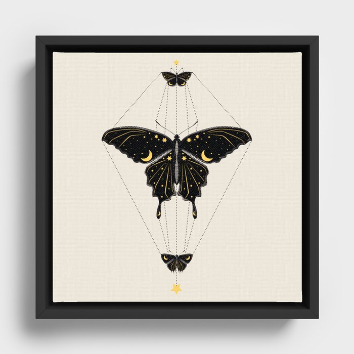 Butterfly Universe Framed Canvas
