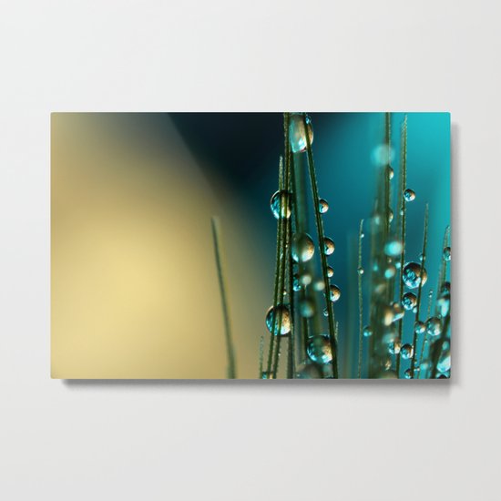 Grass Seed with Blue Metal Print