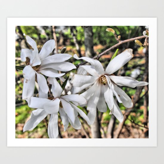 waving flowerheads Art Print