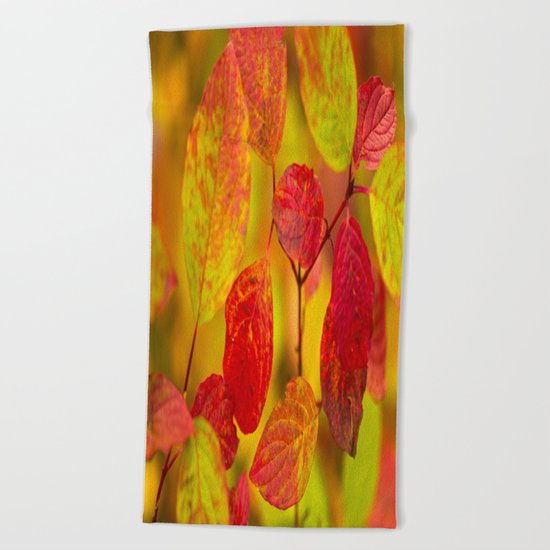 Red autumn leaves Beach Towel