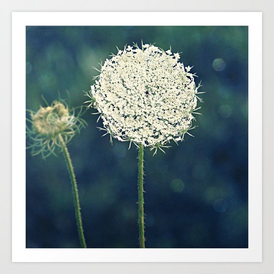 The Blueridge is Calling Me Art Print