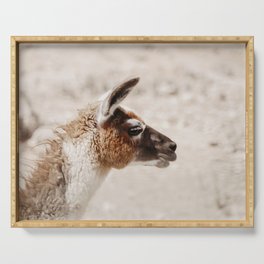 Llama portrait Serving Tray