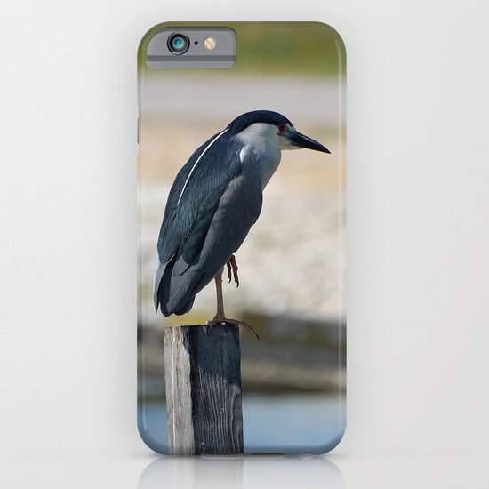 Bird iPhone & iPod Case