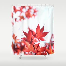 Red Maple by Denise Dietrich Shower Curtain