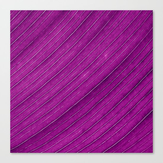 purple banana leaf Canvas Print