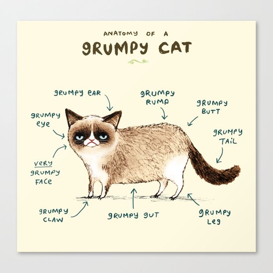 Anatomy of a Grumpy Kitty Canvas Print