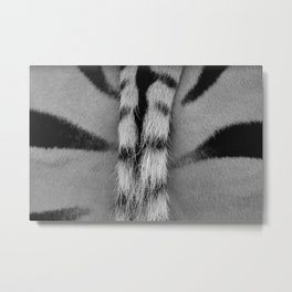 Zebra Tail Metal Print