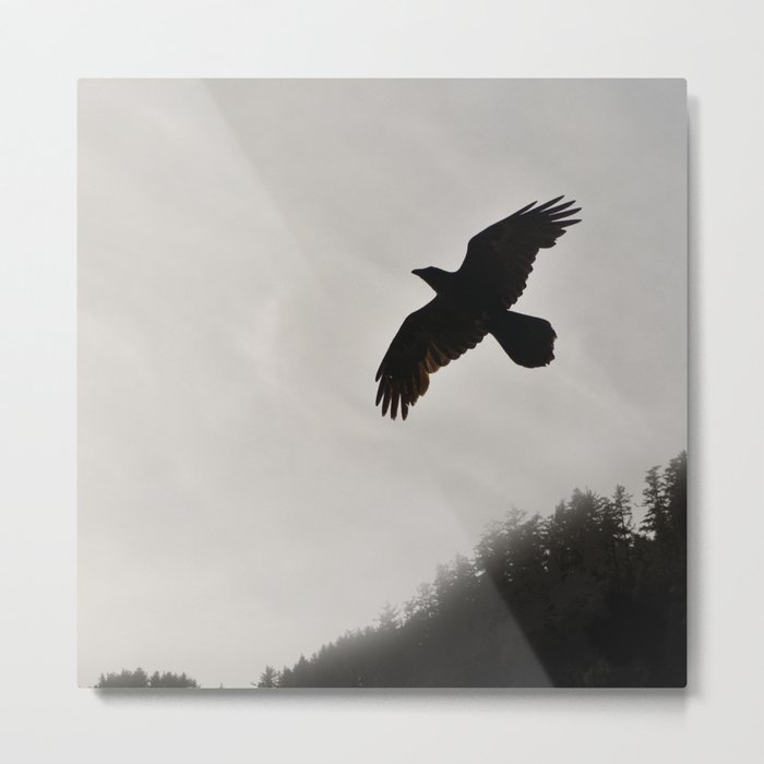 Raven Corvid Bird Northwest Mist Fog Forest Beach Landscape Oregon Metal Print